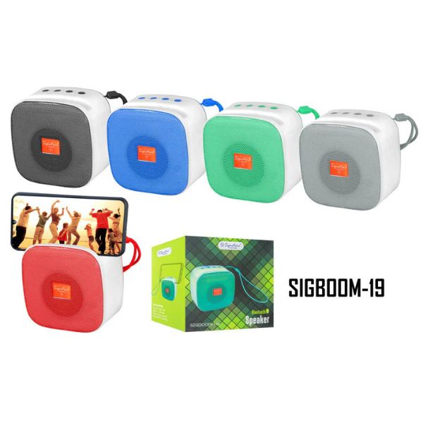 Portable Speaker (Sigboom-19)